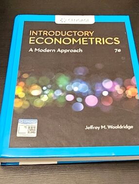 Introductory Econometrics by Jeffrey M. Wooldridge - Bright Blue Cover